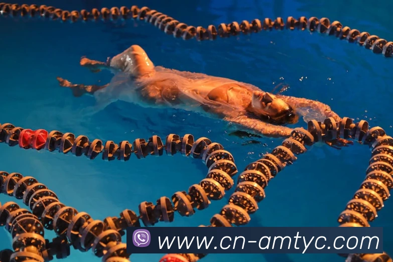 澳门太阳城APP 高清赛事图